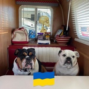 Meet your Posher, Leslie